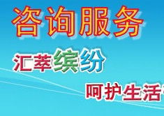 信息咨詢服務(wù) 定義、流程與核心價(jià)值